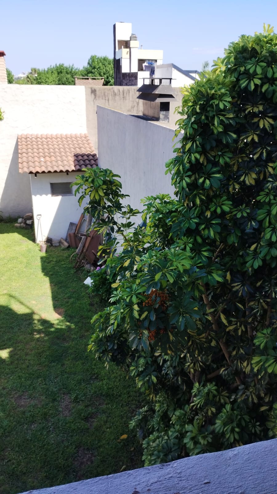 Imagen de la propiedad CASA EN BLAS PARERA Y FRATERNIDAD