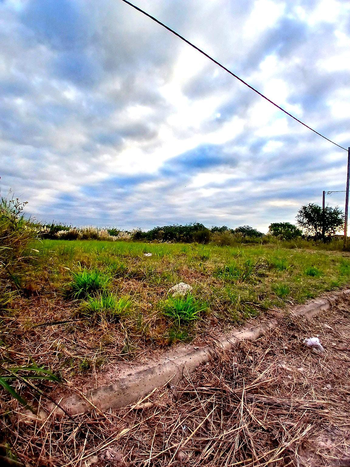 Imagen de la propiedad TERRENO EN CALLE 1666