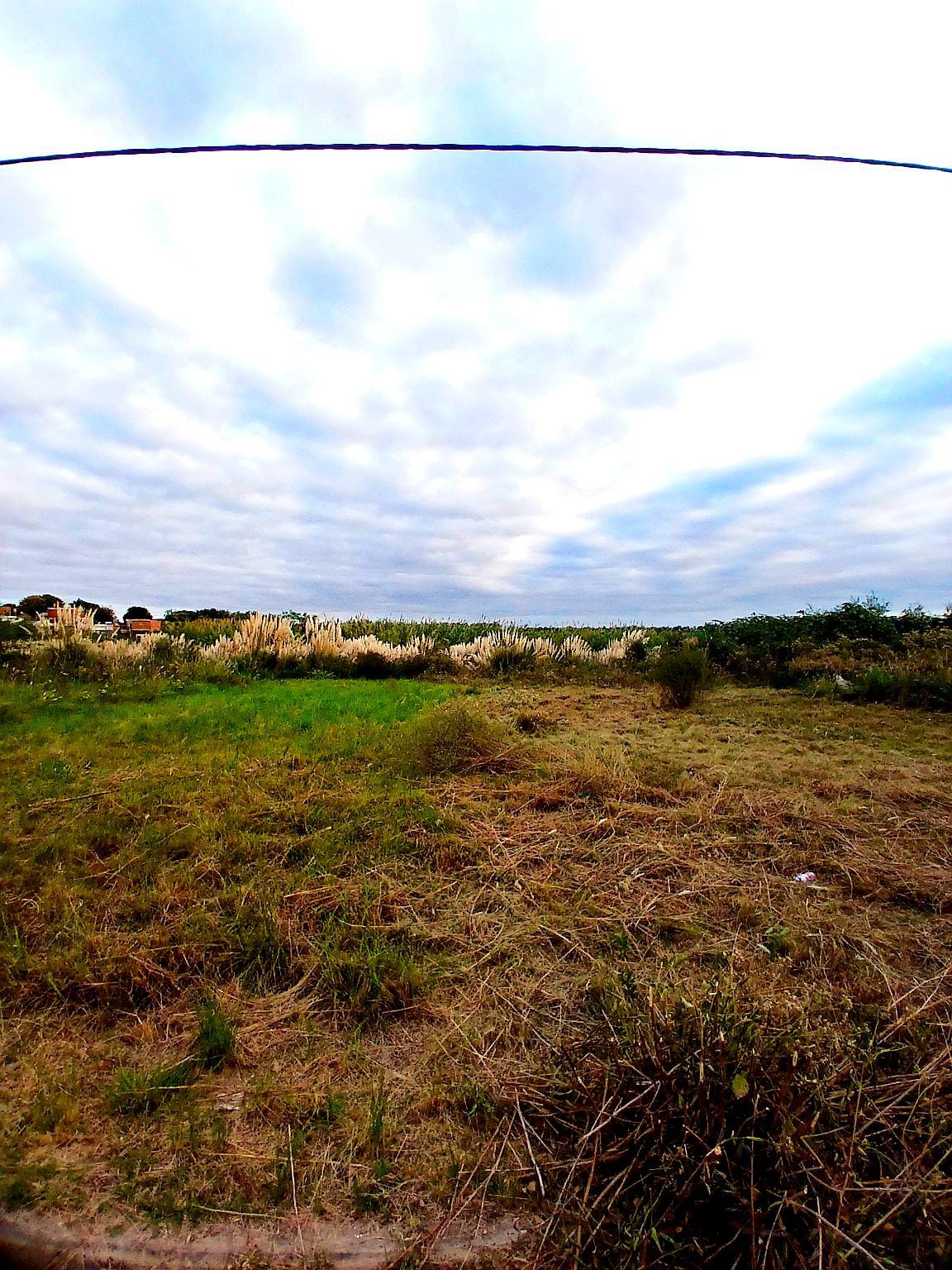 Imagen de la propiedad TERRENO EN CALLE 1666