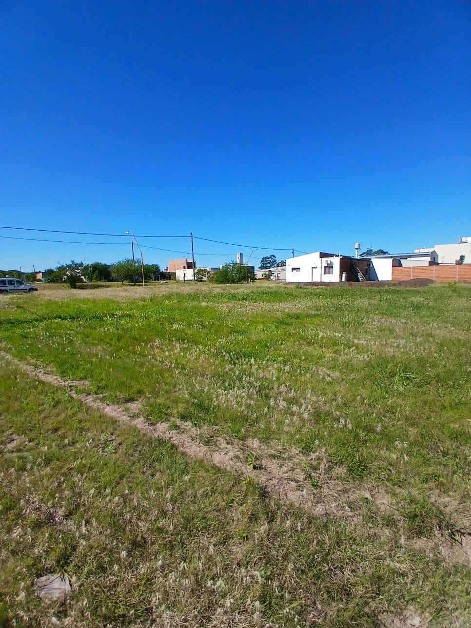 Imagen de la propiedad LOTEO OASIS III