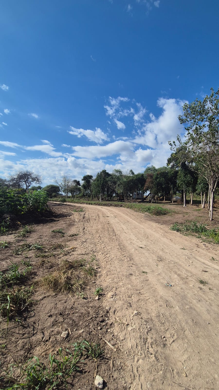 Imagen de la propiedad VENTA DE LOTES ZONA SEMINARIO