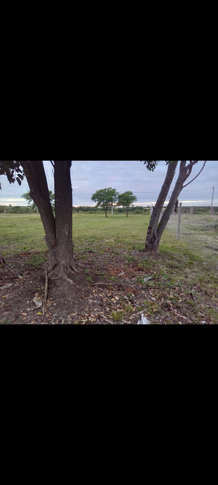 Imagen de la propiedad LOTE EN VENTA VILLA URQUIZA