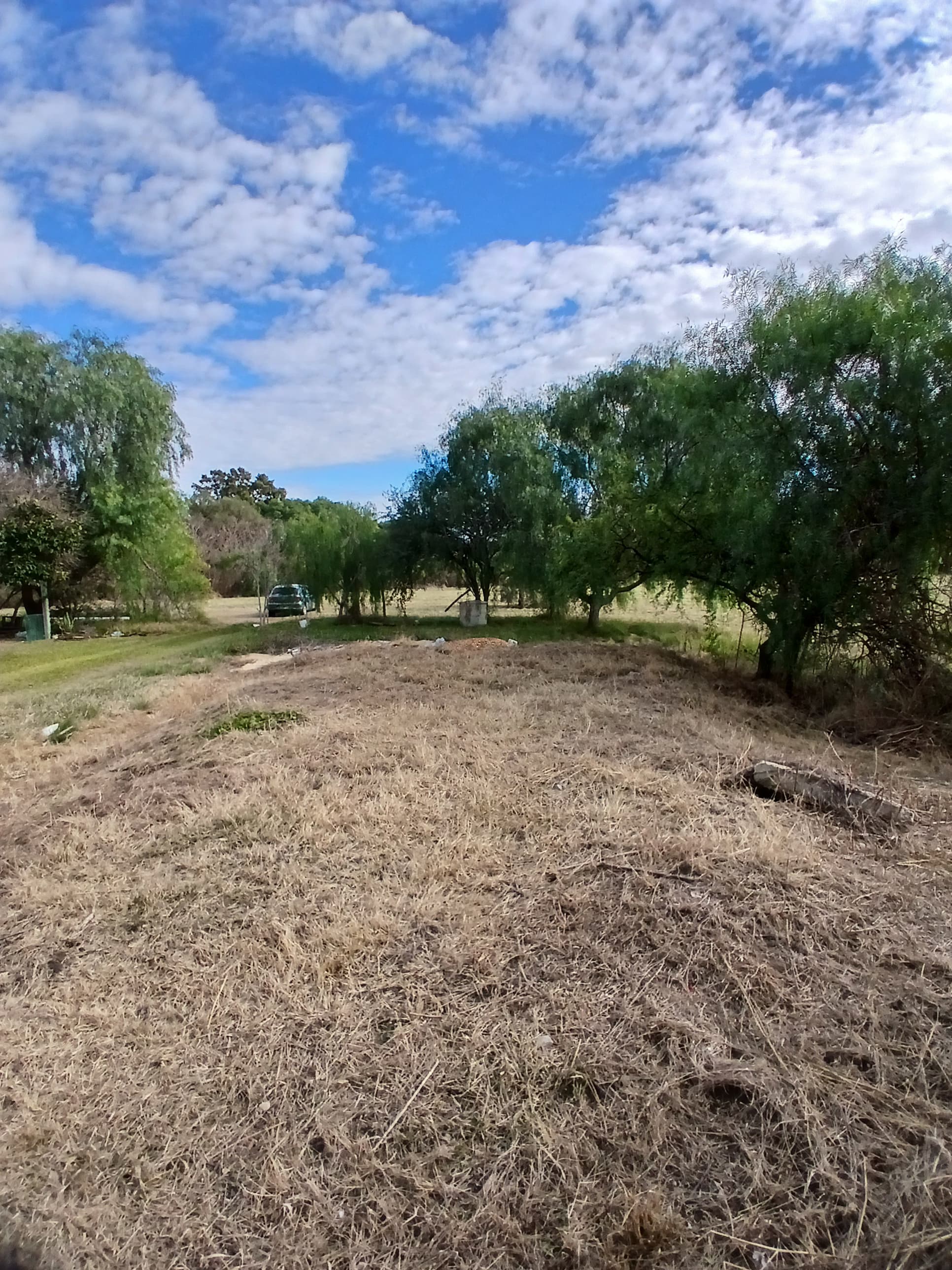 Imagen de la propiedad LOTE ORO VERDE