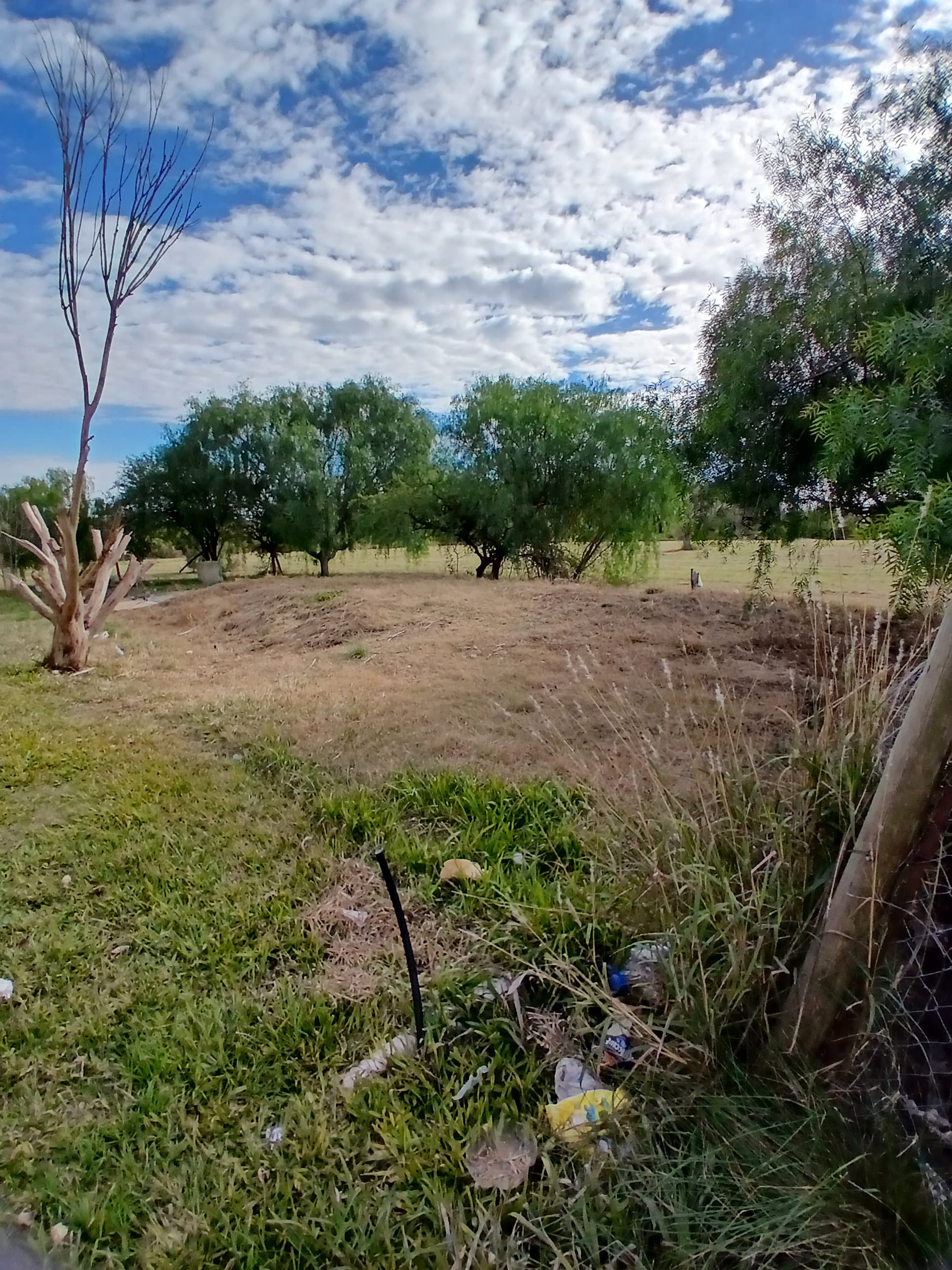 Imagen de la propiedad LOTE ORO VERDE