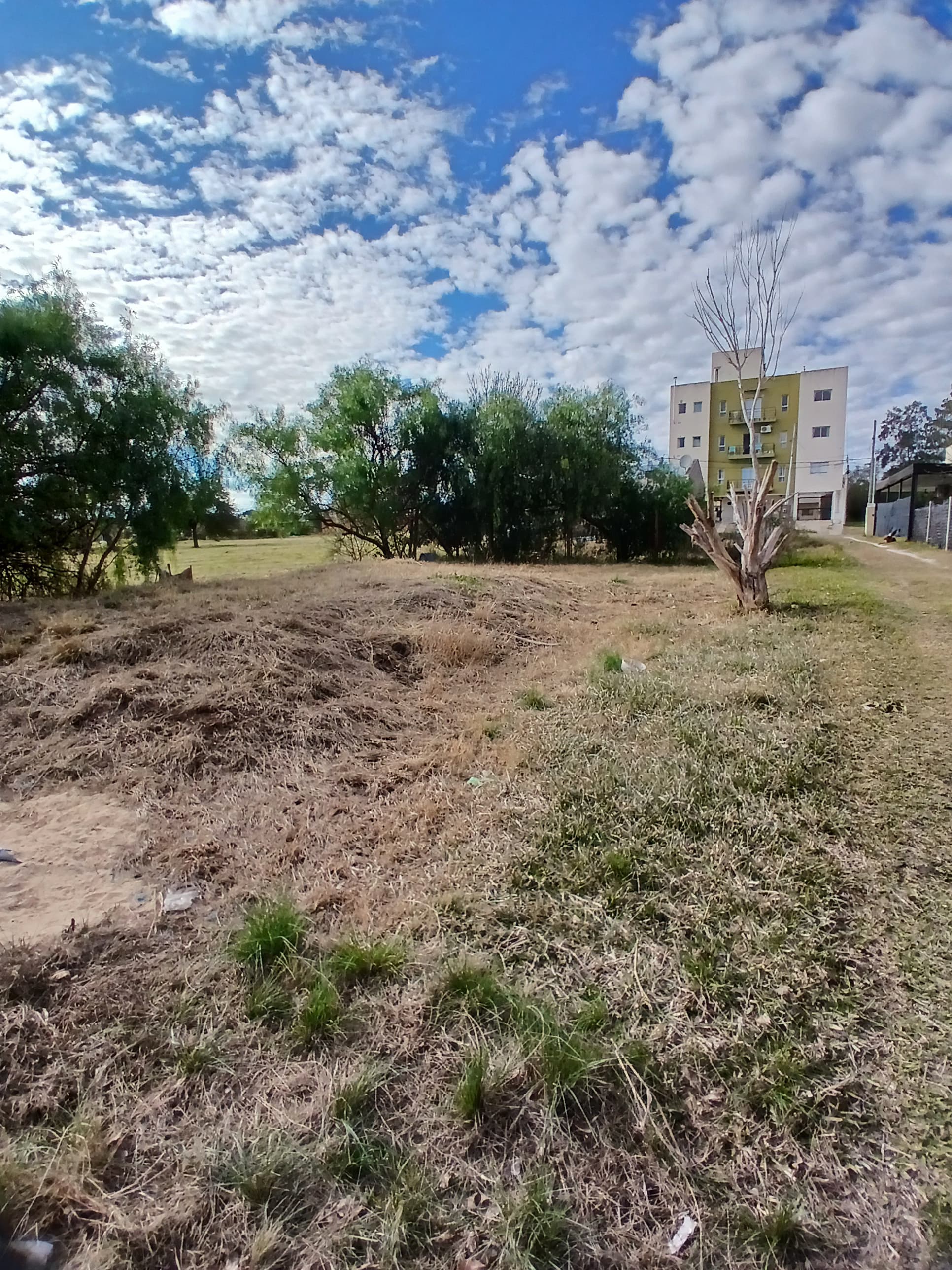 Imagen de la propiedad LOTE ORO VERDE