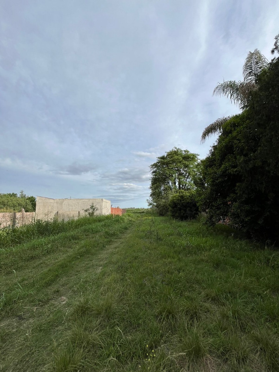 Imagen de la propiedad LOTE EN VENTA EN SAUCE MONTRULL