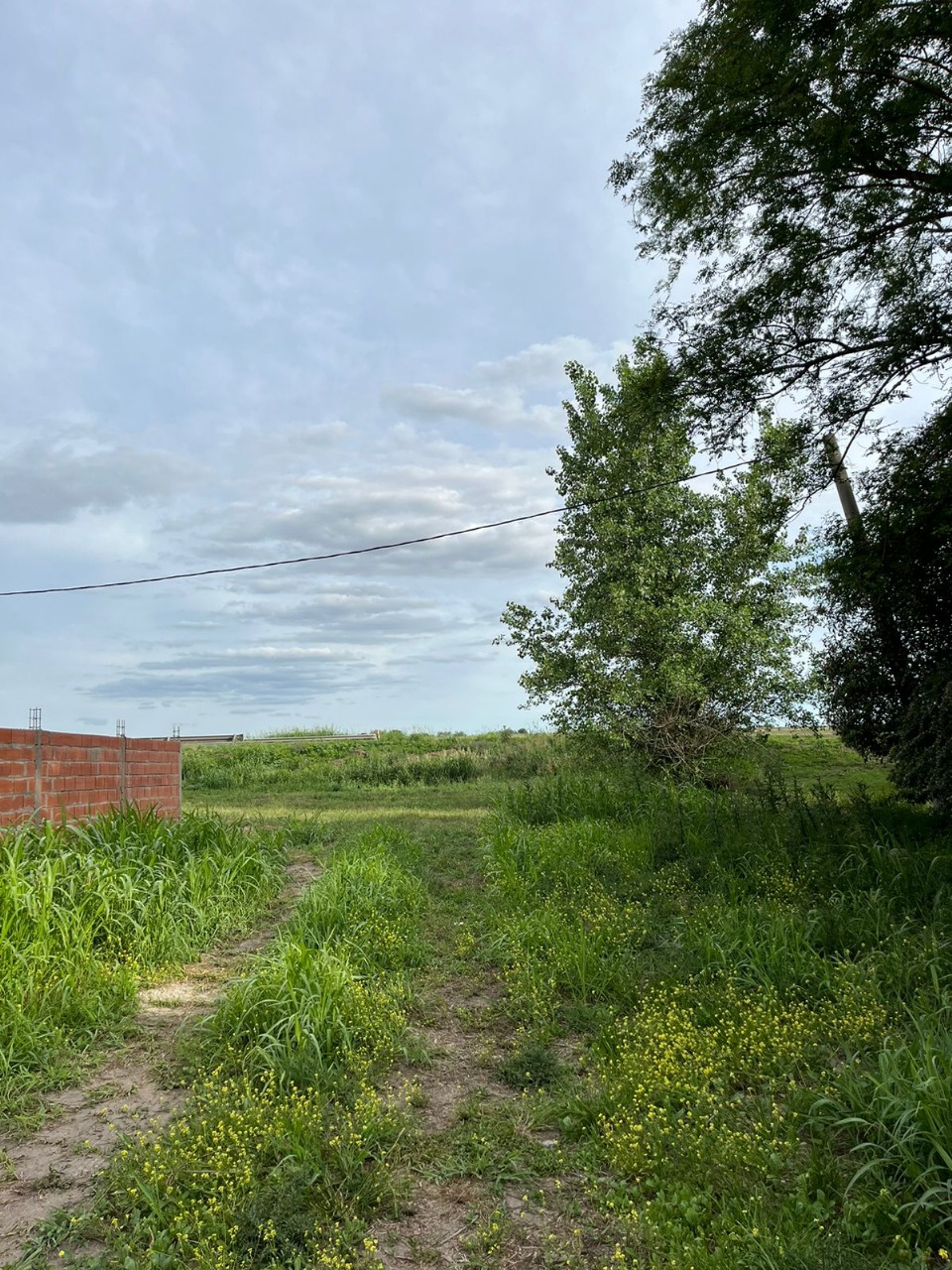 Imagen de la propiedad LOTE EN VENTA EN SAUCE MONTRULL