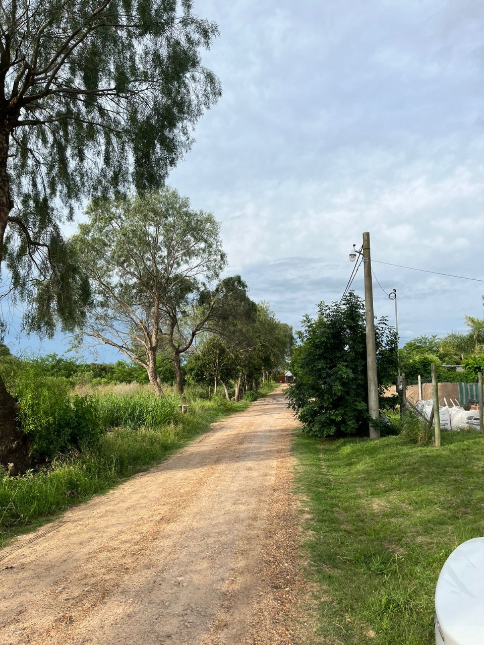 Imagen de la propiedad LOTE EN VENTA EN SAUCE MONTRULL