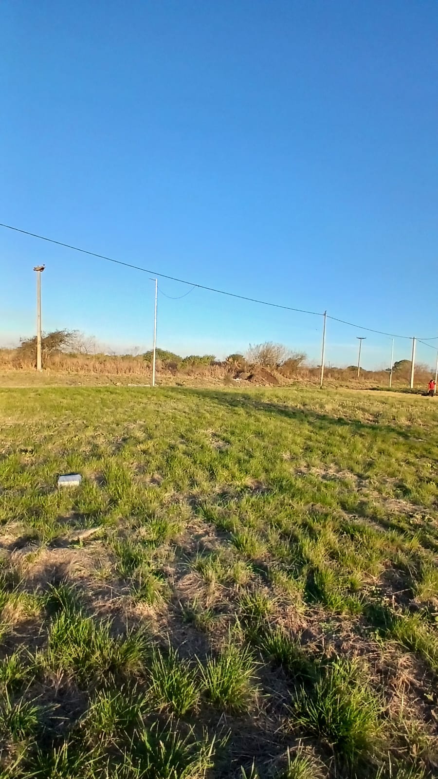Imagen de la propiedad LOTE EN VENTA SAN BENITO