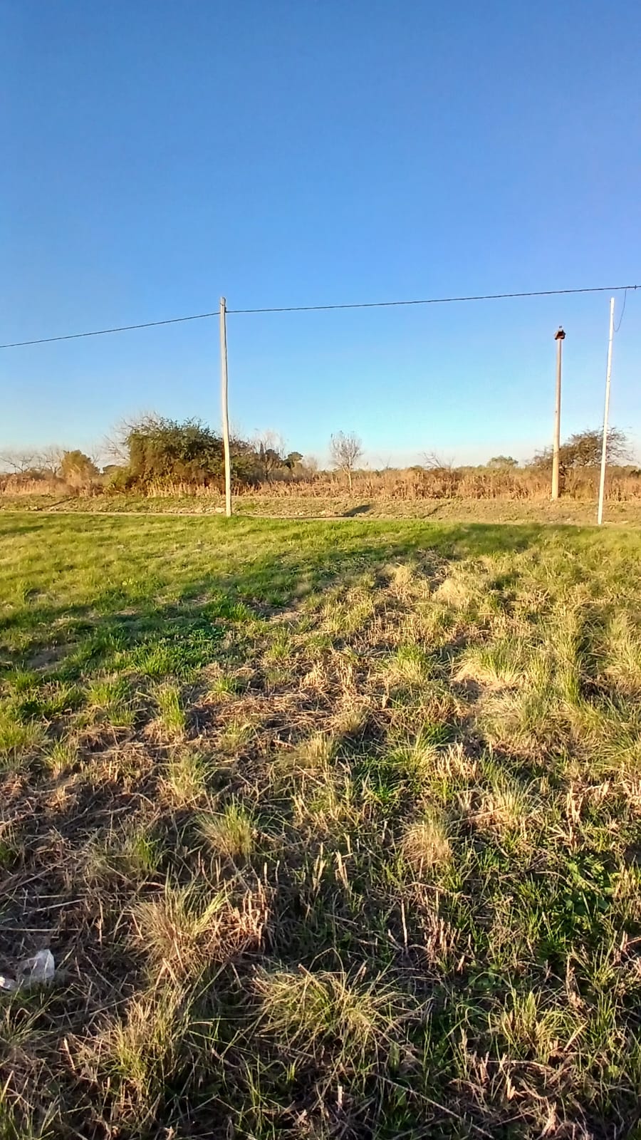 Imagen de la propiedad LOTE EN VENTA SAN BENITO