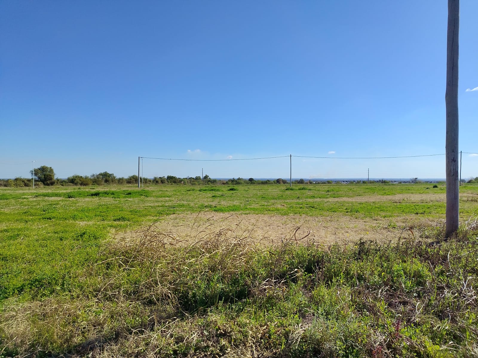 Imagen de la propiedad TERRENOS EN VENTA