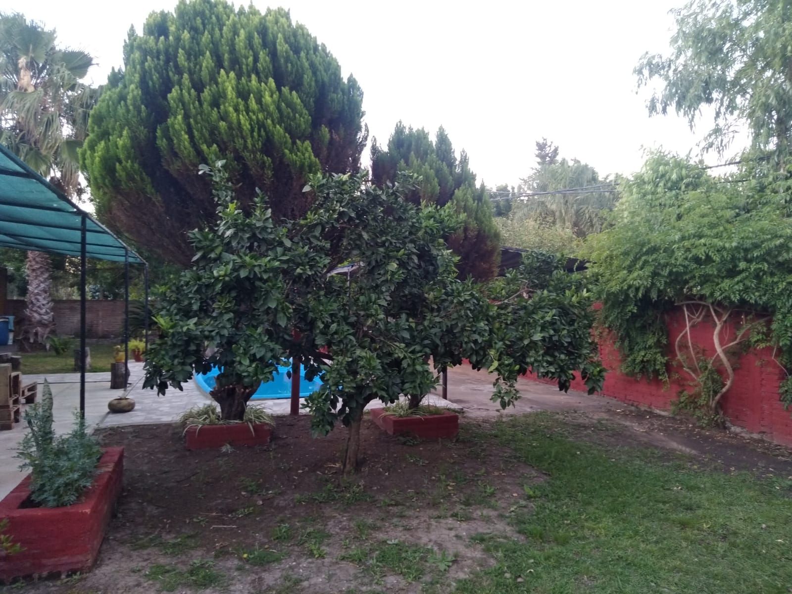 Imagen de la propiedad CASA QUINTA EN VENTA
