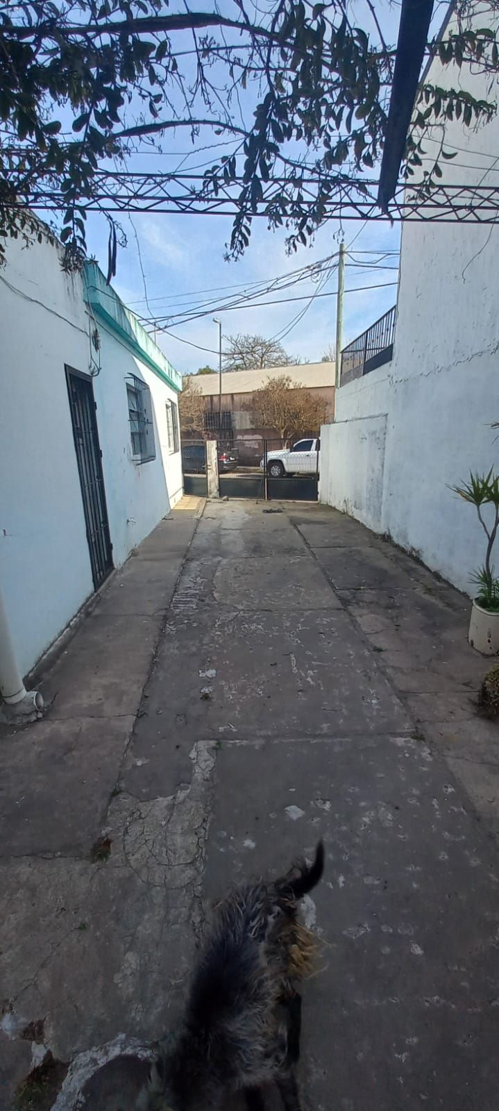 Imagen de la propiedad CASA EN VENTA A REFACCIONAR