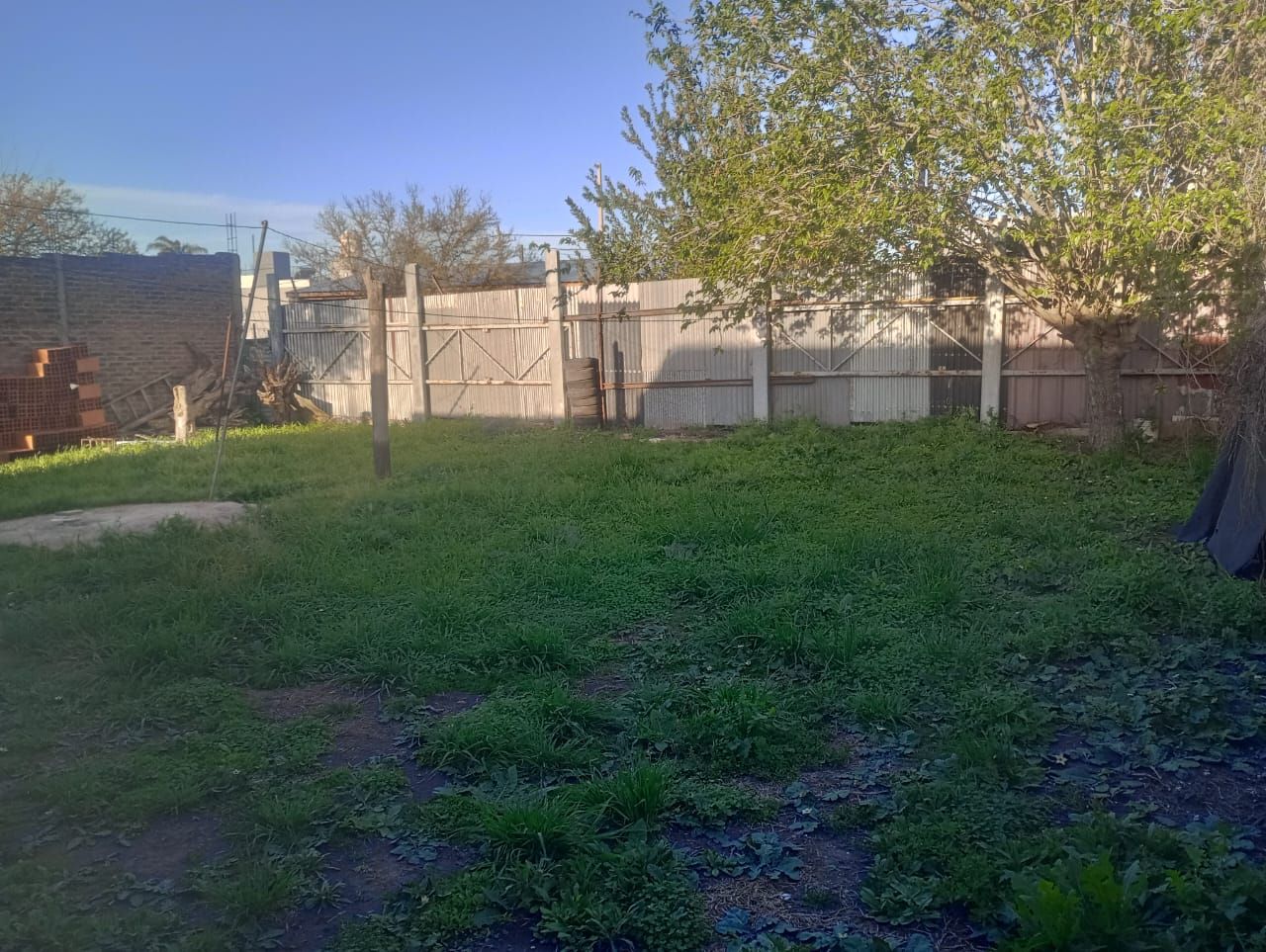 Imagen de la propiedad CASA EN VENTA COLONIA AVELLANEDA (APTA CREDITO9