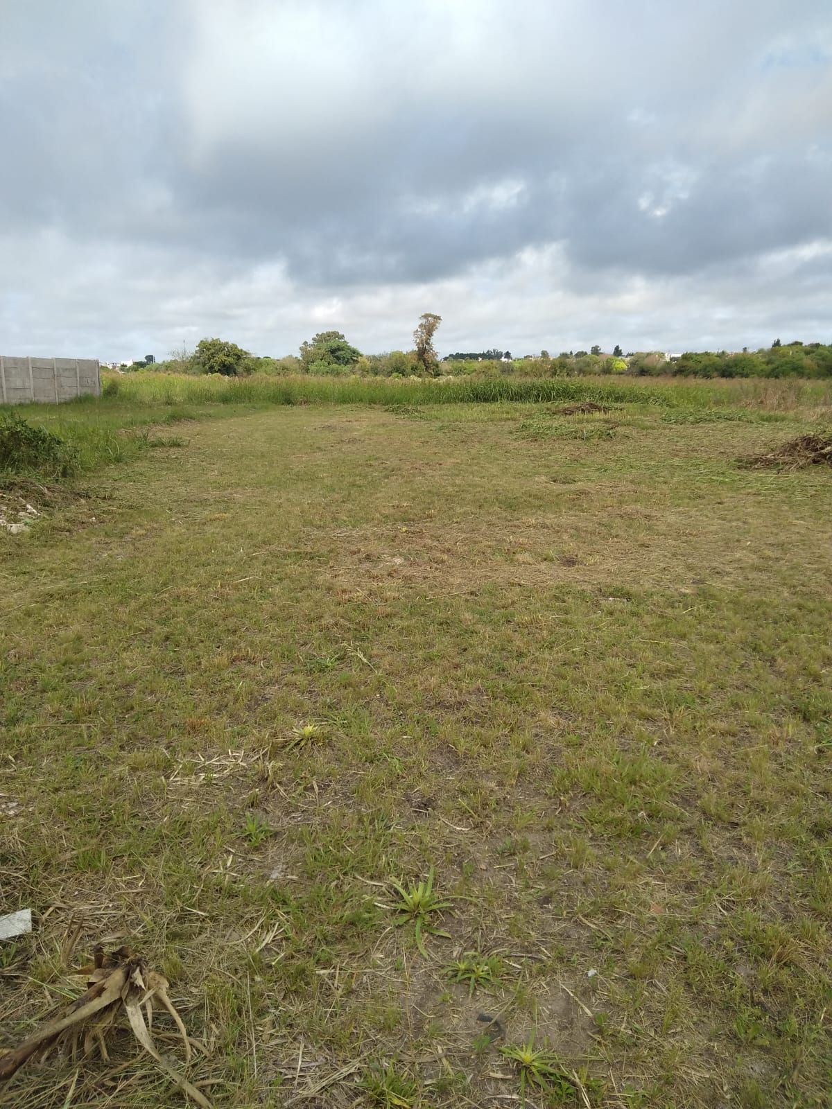 Imagen de la propiedad TERRENO EN VENTA SAN BENITO