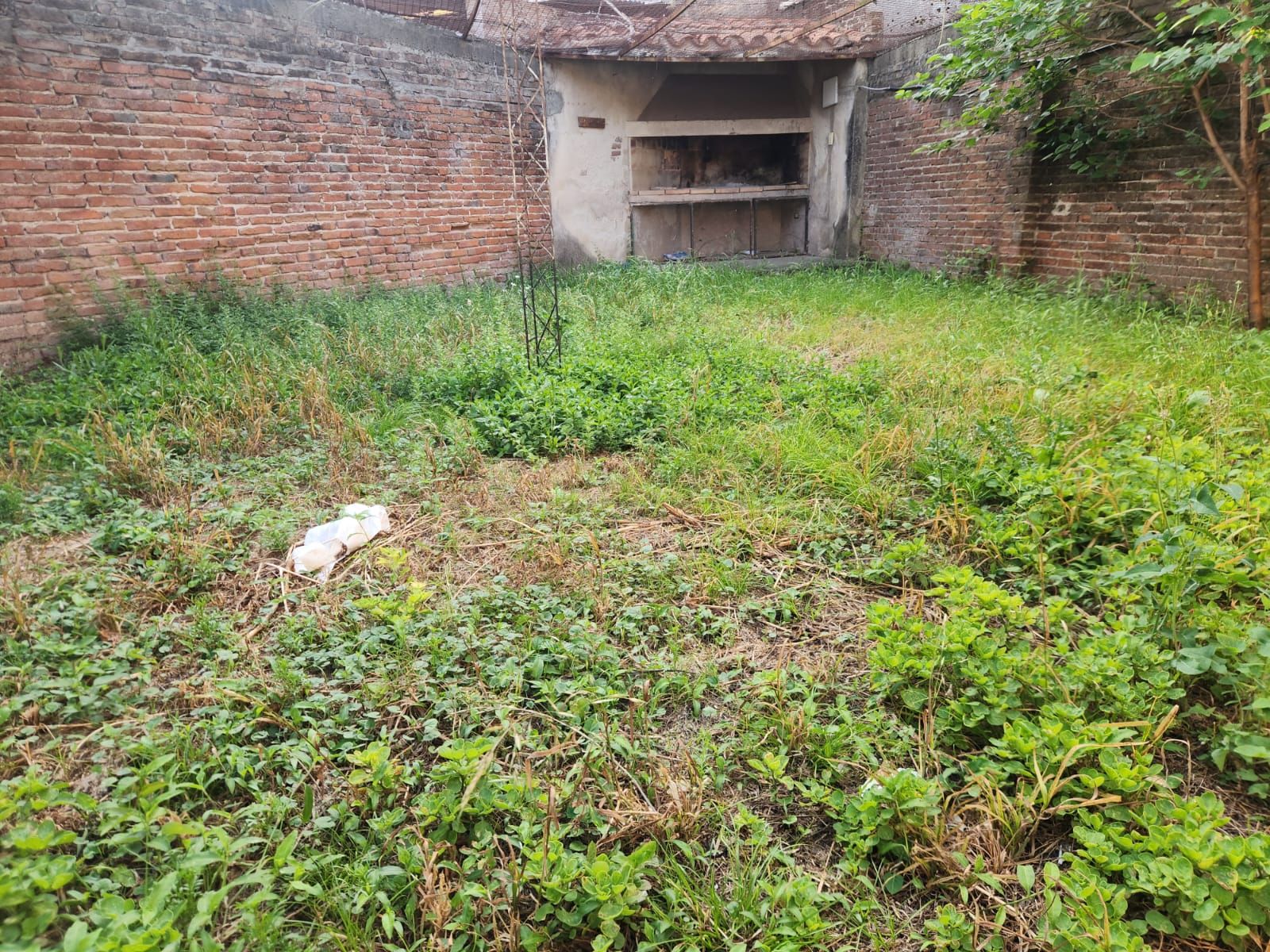 Imagen de la propiedad CASA EN VENTA 3 DORMITORIOS