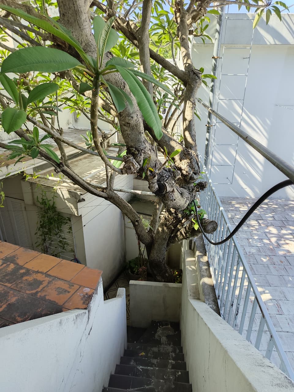 Imagen de la propiedad CASA EN VENTA - 5 HABITACIONES (APTA CREDITO)