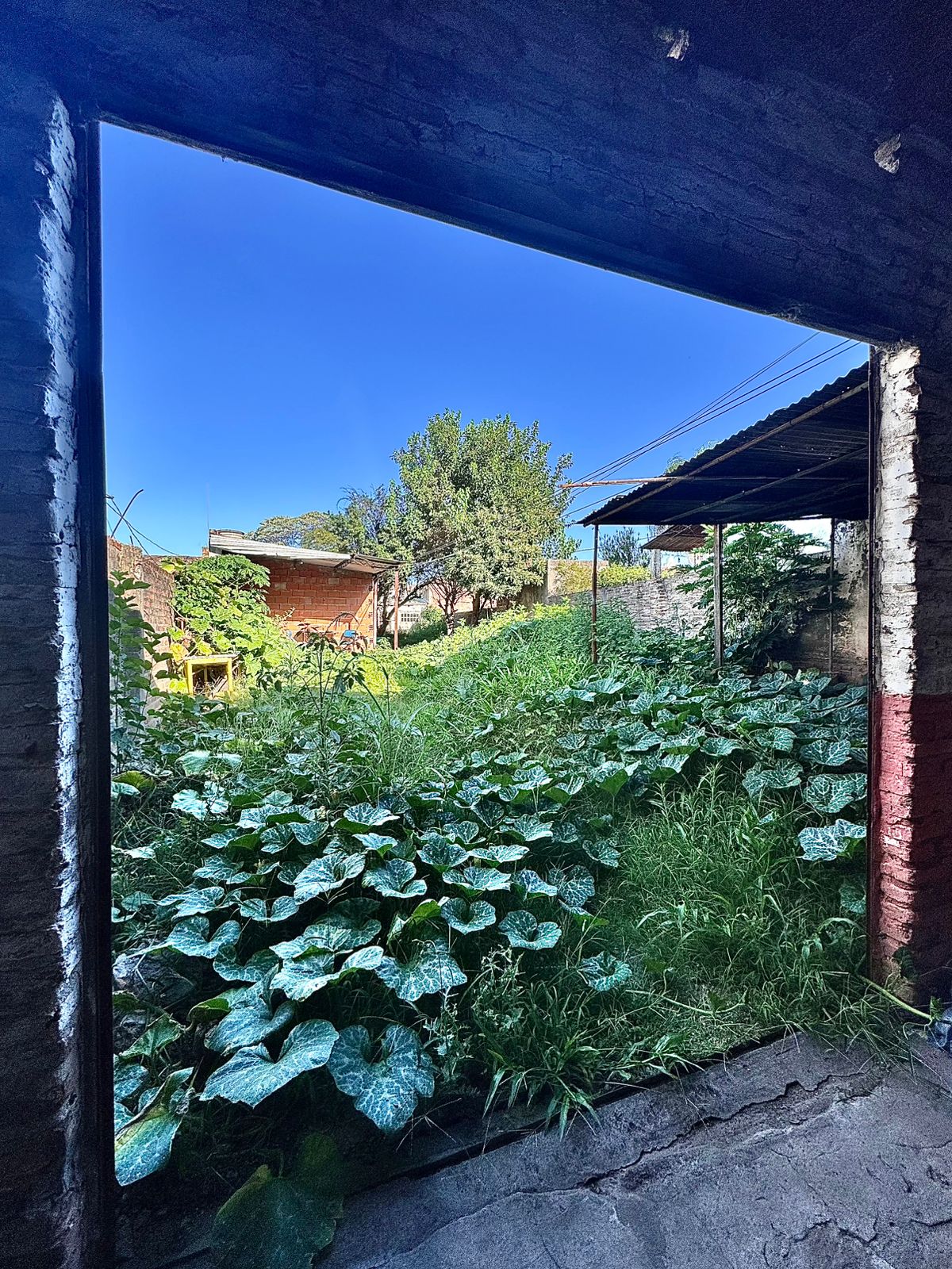 Imagen de la propiedad PROPIEDAD EN VENTA - OPORTUNIDAD INVERSORES