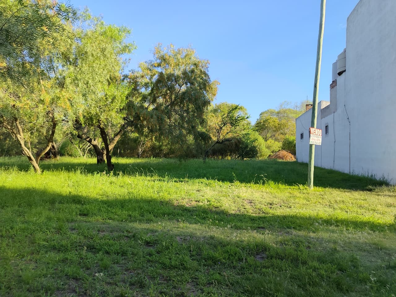 Imagen de la propiedad LOTE EN VENTA - SAUCE MONTRULL