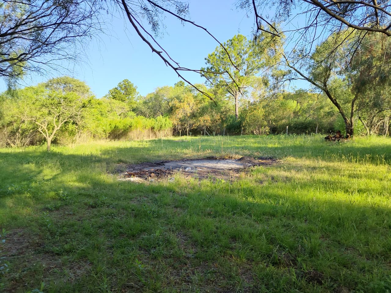 Imagen de la propiedad LOTE EN VENTA - SAUCE MONTRULL