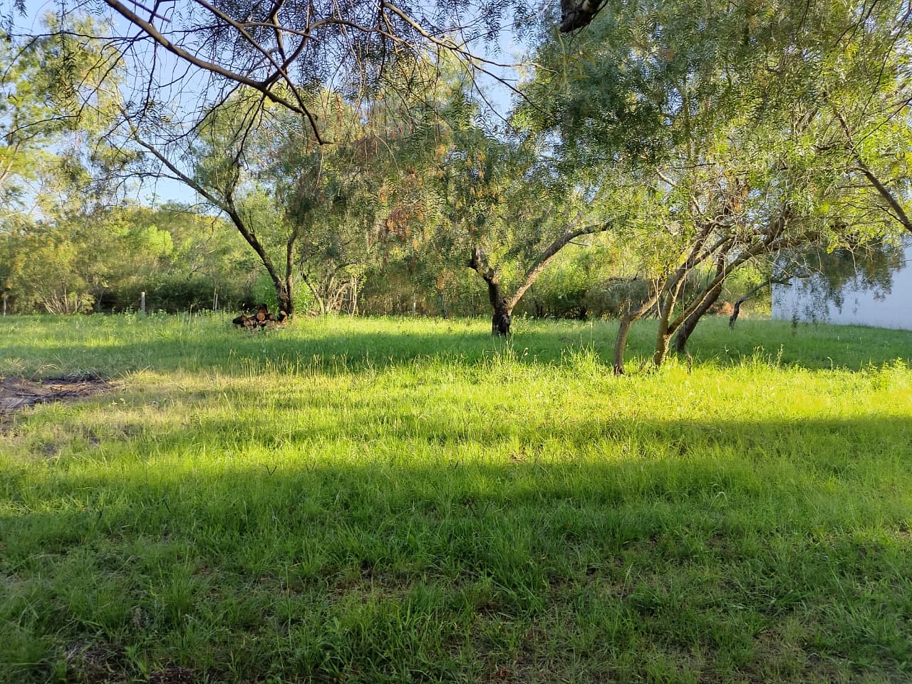 Imagen de la propiedad LOTE EN VENTA - SAUCE MONTRULL