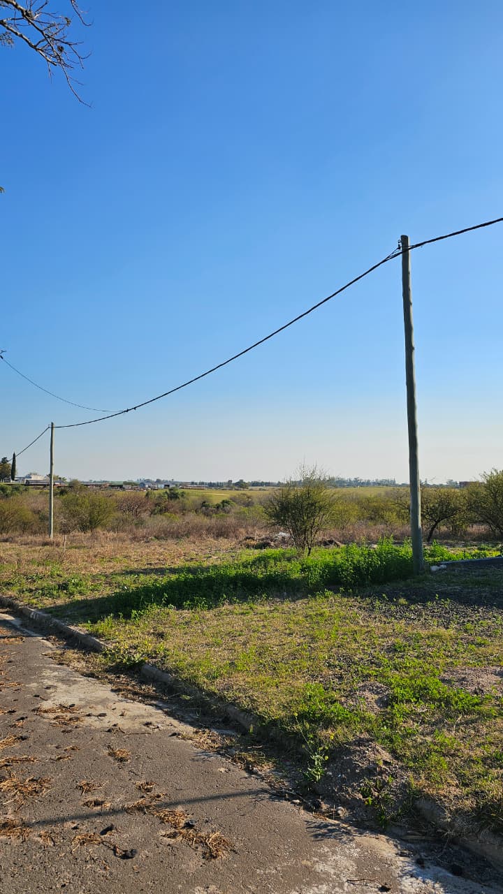 Imagen de la propiedad VENTA DE LOTEO JARDINES DEL HIPODROMO - ORO VERDE