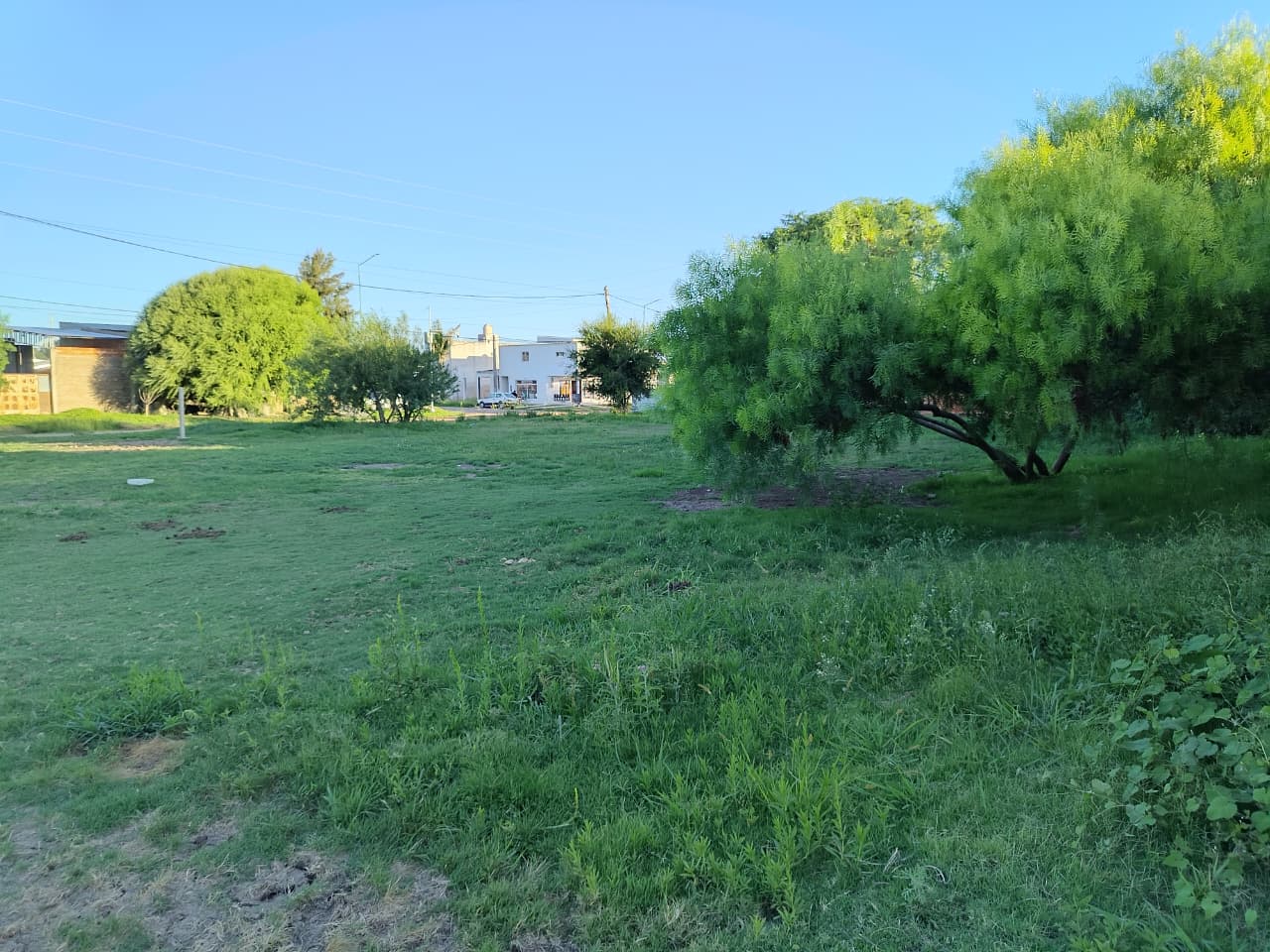 Imagen de la propiedad LOTE EN VENTA - SAN BENITO