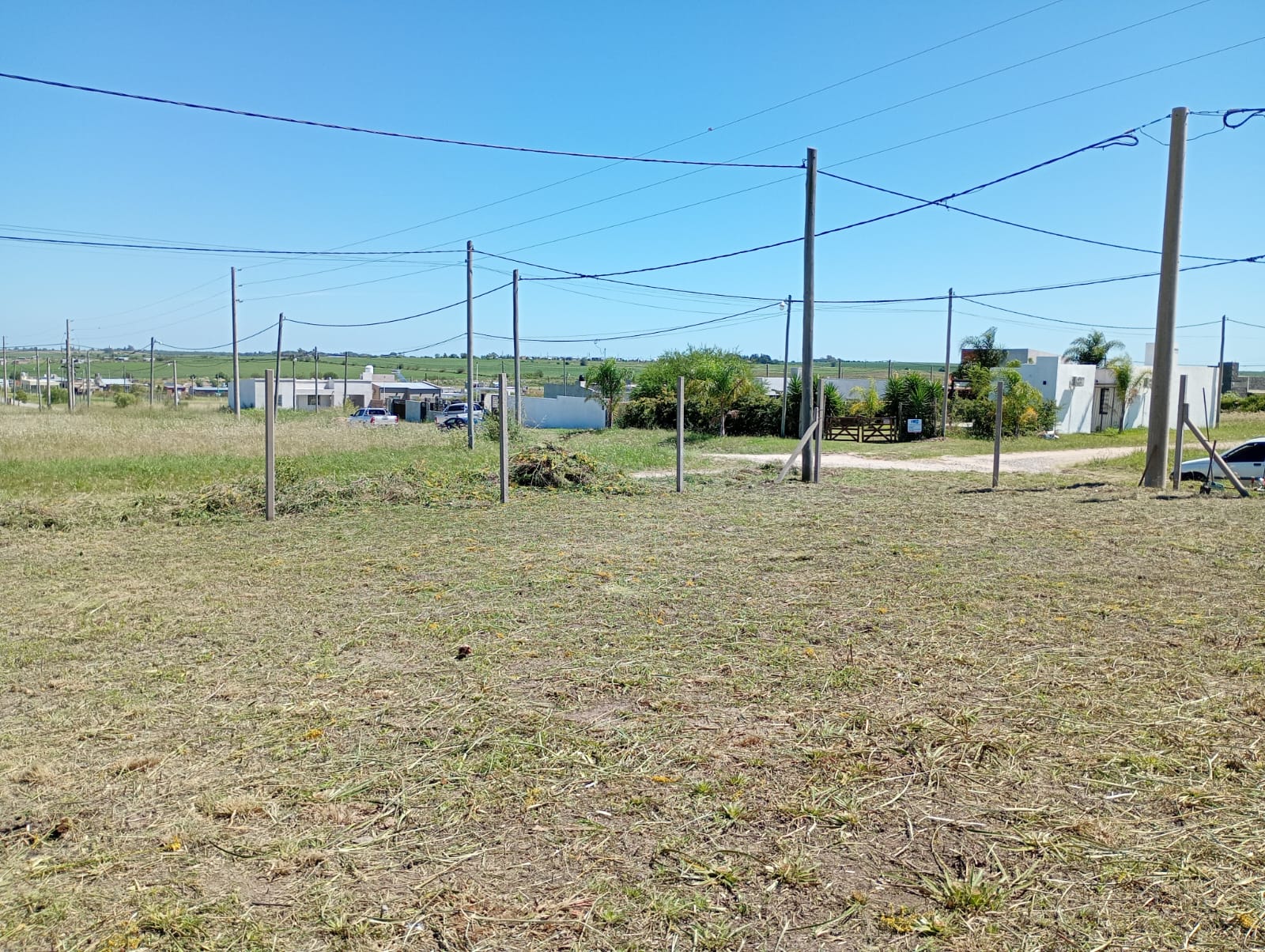 Imagen de la propiedad LOTE EN VENTA - COLONIA ENSAYO