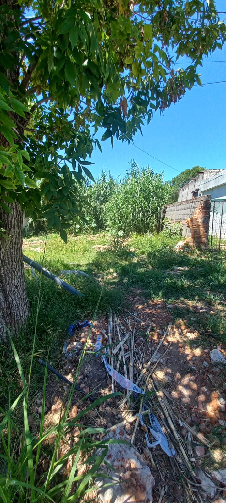 Imagen de la propiedad TERRENO EN VENTA