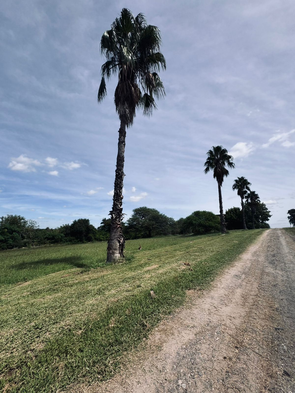 Imagen de la propiedad DOS LOTES EN VENTA -  COLINA DEL GOLF