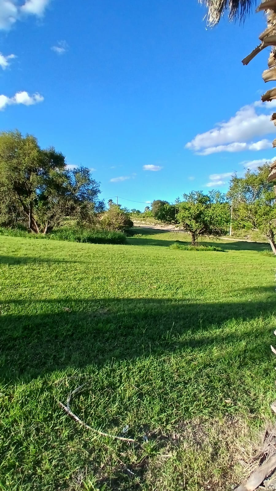 Imagen de la propiedad TERRENO EN VENTA – CLUB DE CAMPO Y GOLF LAS COLINAS