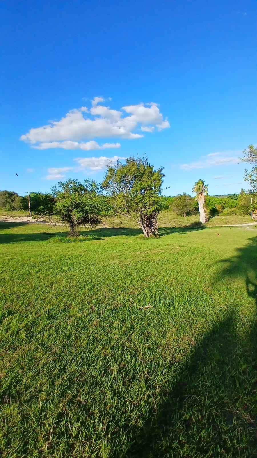 Imagen de la propiedad TERRENO EN VENTA – CLUB DE CAMPO Y GOLF LAS COLINAS