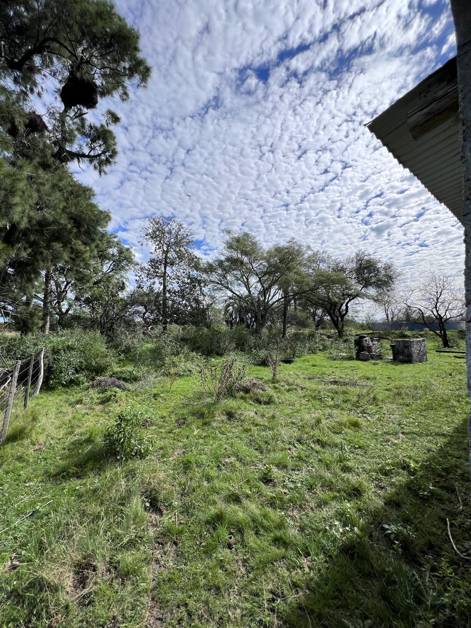 Imagen de la propiedad OPORTUNIDAD EN VENTA / PERMUTA – 21,5 HECTÁREAS EN COLONIA FEDERAL