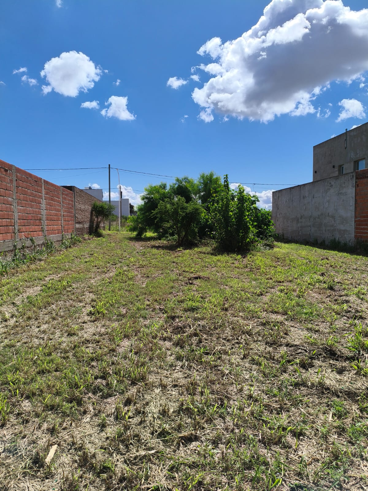 Imagen de la propiedad TERRENO EN VENTA