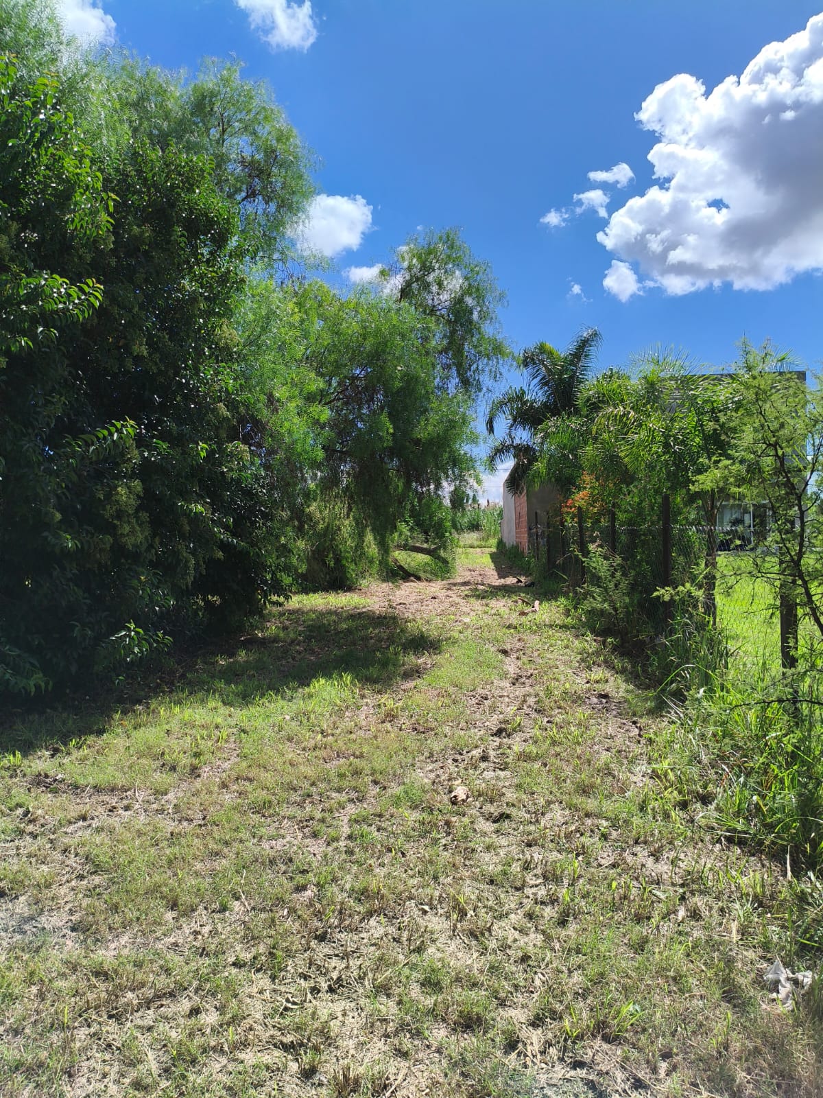 Imagen de la propiedad TERRENO EN VENTA