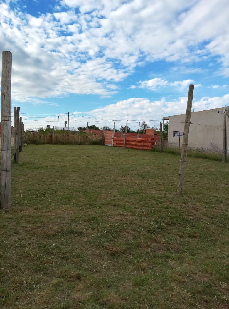 Imagen de la propiedad LOTE EN VENTA - COLONIA ENSAYO