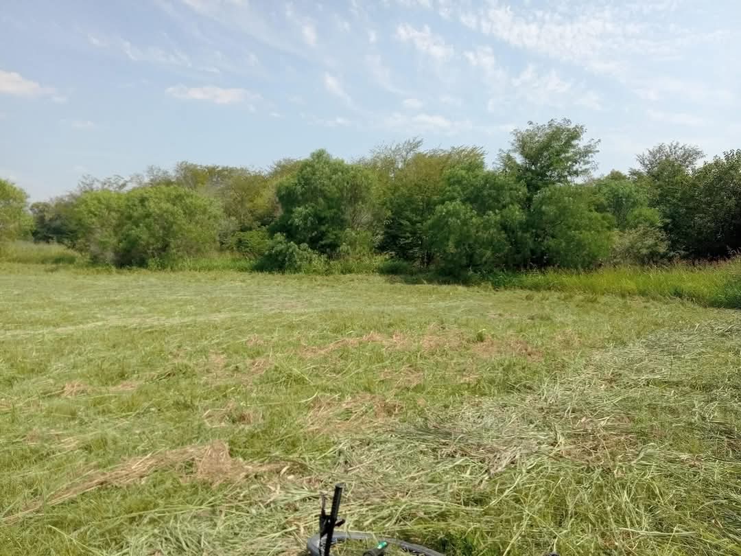 Imagen de la propiedad TERRENO EN VENTA - SAN BENITO