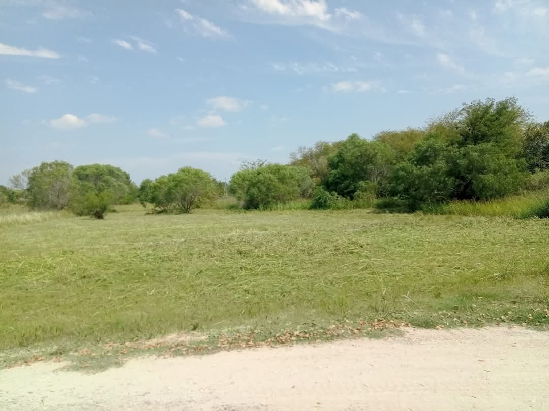 Imagen de la propiedad TERRENO EN VENTA - SAN BENITO