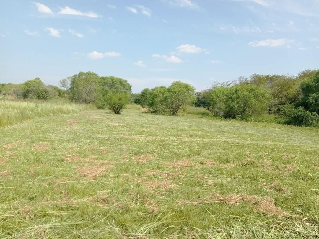 Imagen de la propiedad TERRENO EN VENTA - SAN BENITO