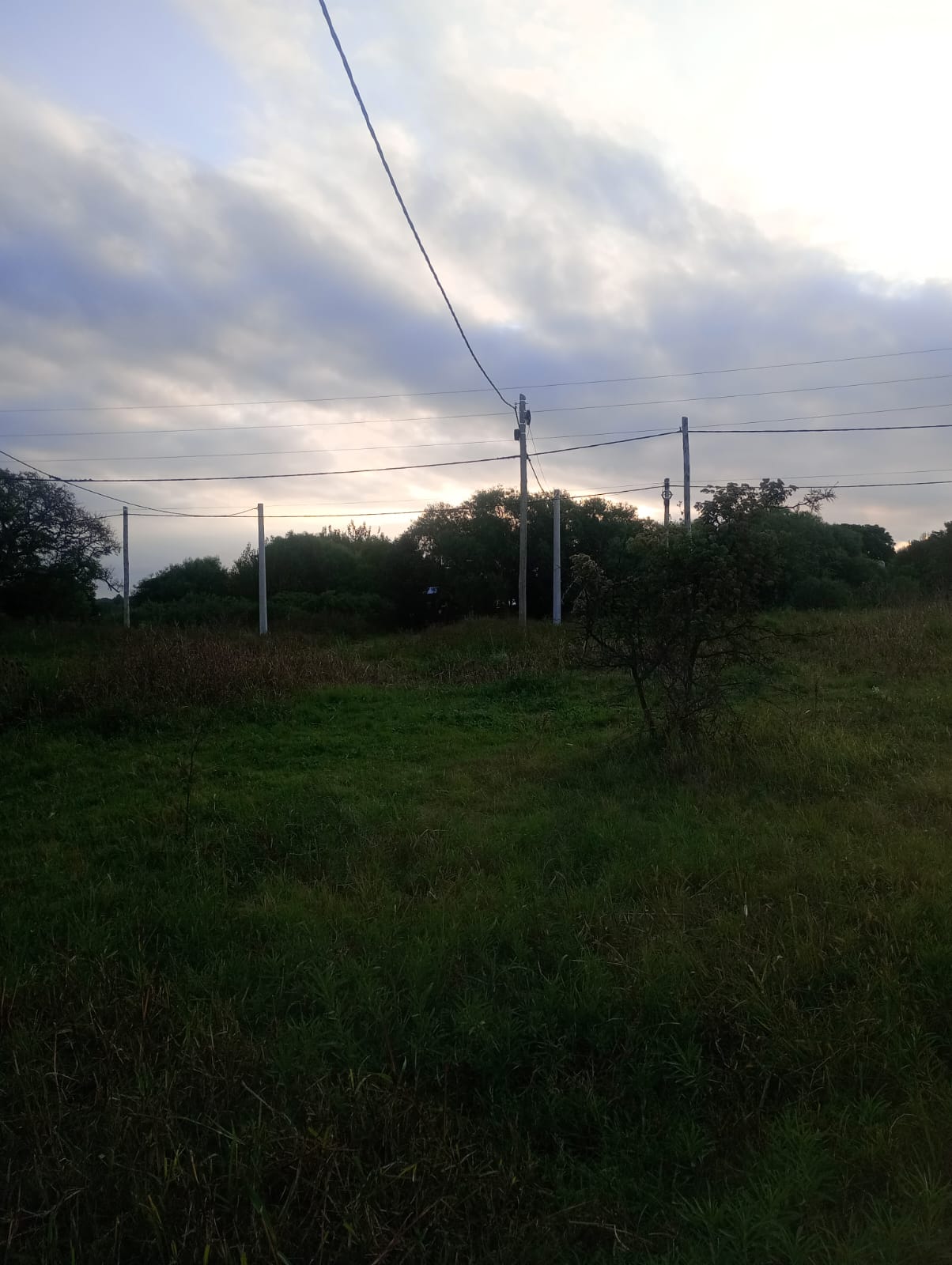 Imagen de la propiedad LOTE EN VENTA 
