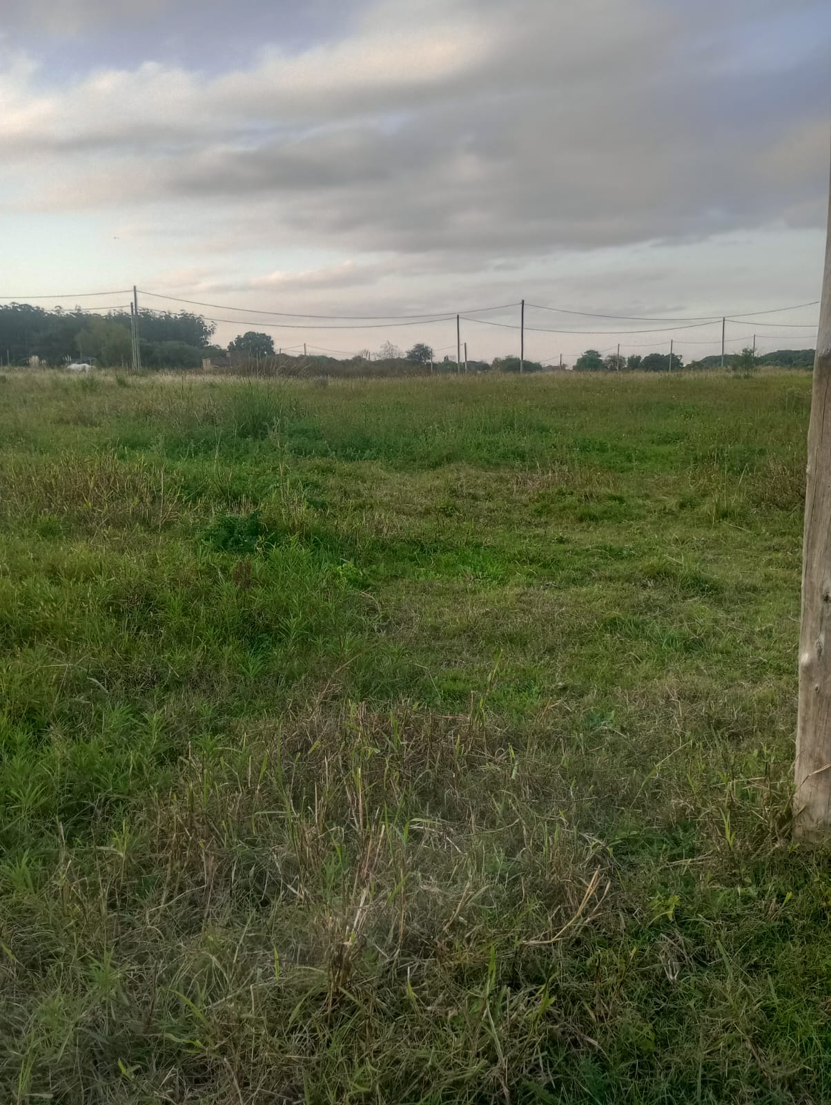 Imagen de la propiedad LOTE EN VENTA 