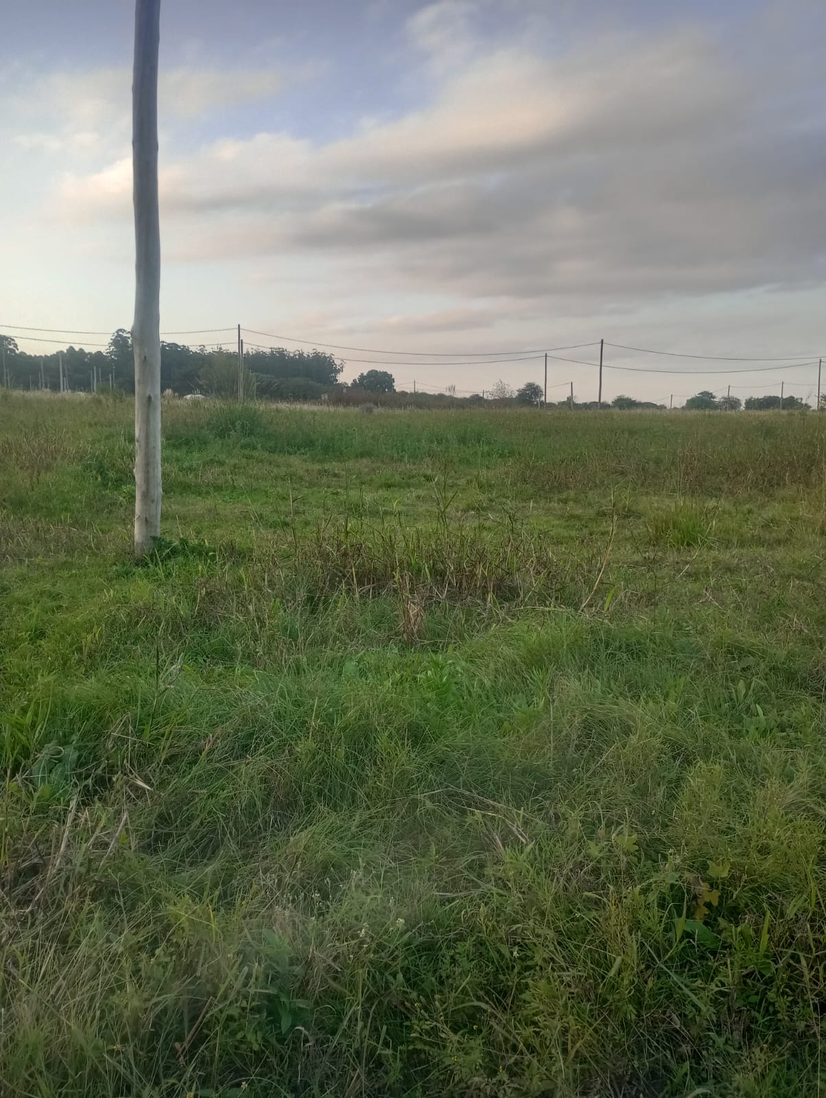 Imagen de la propiedad LOTE EN VENTA 