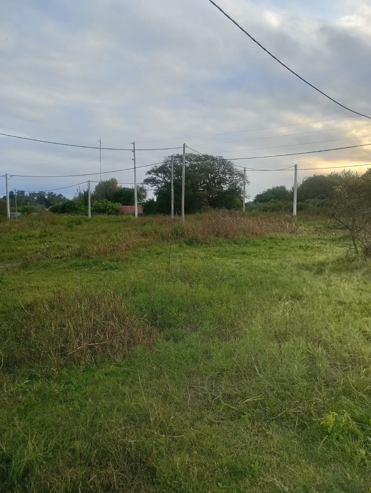 Imagen de la propiedad LOTE EN VENTA 
