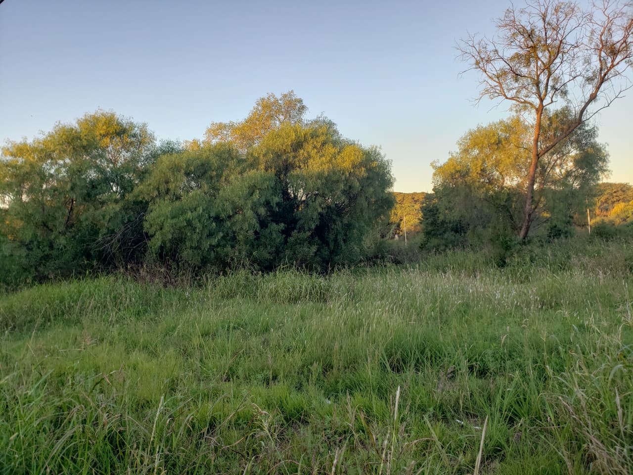 Imagen de la propiedad 2 TERRENOS EN VENTA