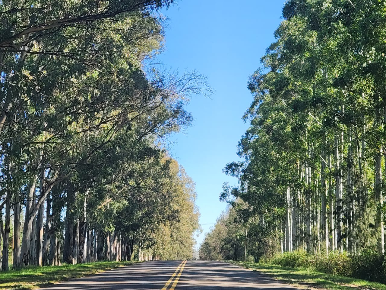 Imagen de la propiedad LOTE EN TIERRA EN CALABACILLAS